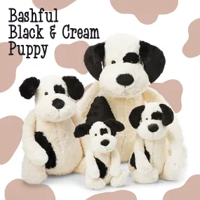 Bashful Black & Cream Puppy