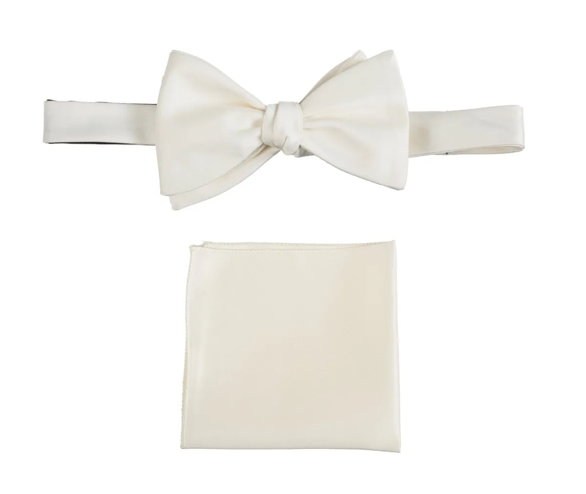 Selftie Bow Tie and Pocket Square Handkerchief Set