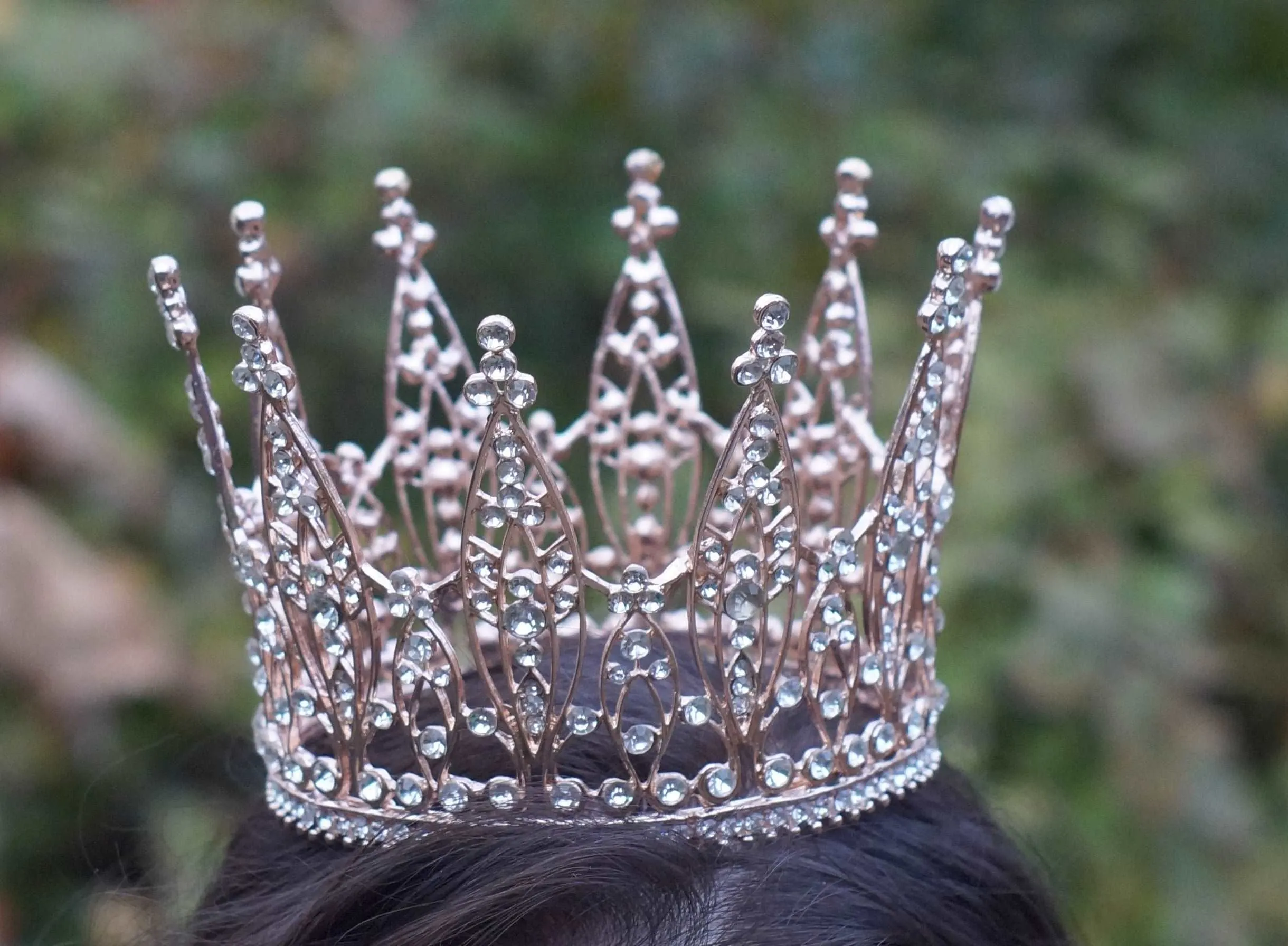 The Benedikte Crown