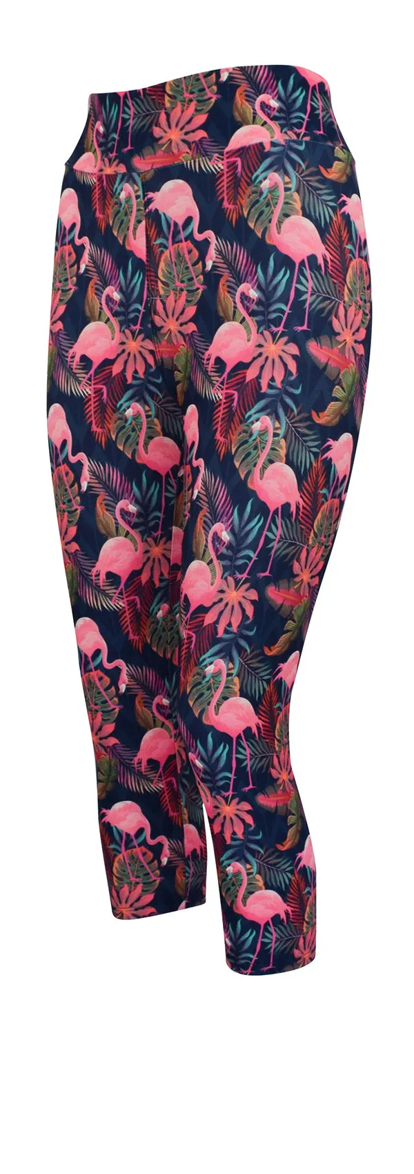 Tropical Flamingo