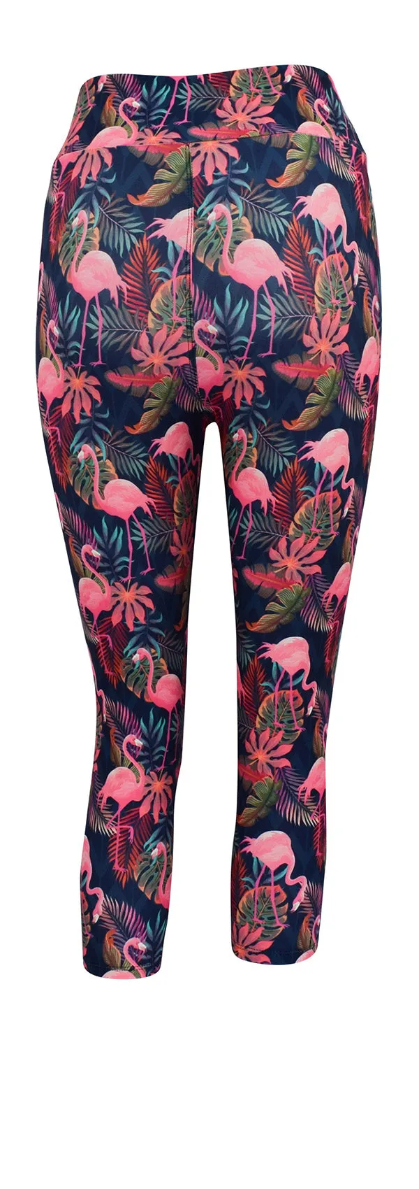 Tropical Flamingo